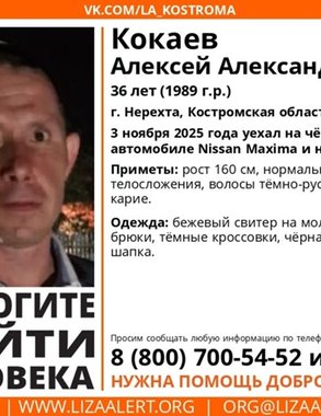 В Нерехте ищут 36-летнего Алексея Кокаева — мужчина исчез после поездки на машине