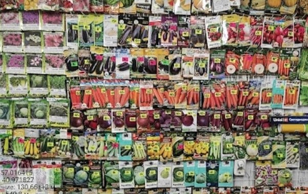 «Ослиные уши» и «Санькина любовь»: Россельхознадзор изъял в Костроме более тысячи партий семян