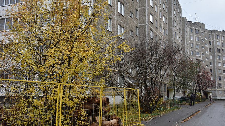 Главная картинка новости: Горячие участки Костромы: коммунальщики устраняют дефекты на десятках улиц