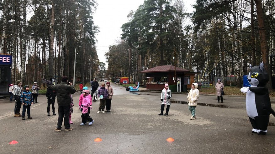 Главная картинка новости: В костромских парках стартовала неделя помощи бездомным животным