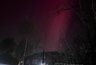 Миниатюра новости: Северное сияние малинового цвета взорвало соцсети Костромы