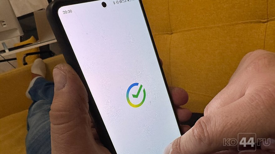 Главная картинка новости: Житель Нерехты стал жертвой интернет-мошенников при покупке плиткореза