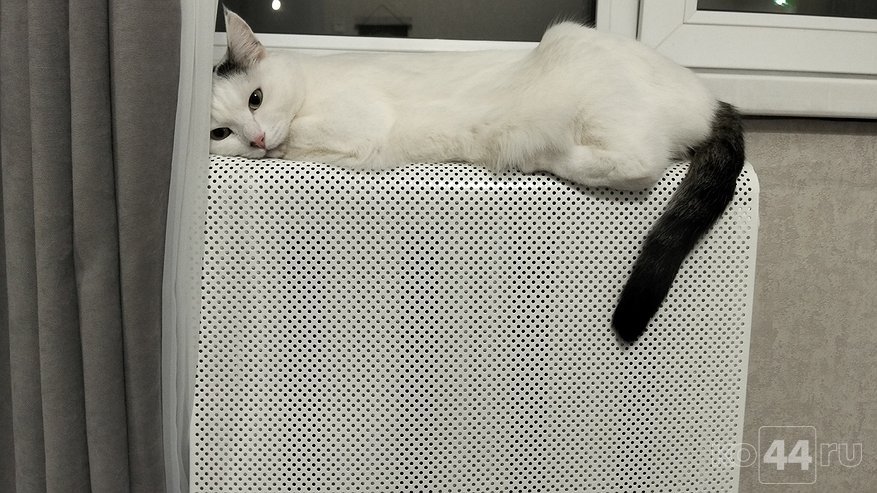 Главная картинка новости: В Костроме после аварийных ремонтов отопление дали 66 домам