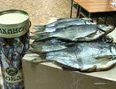 Костромской рыбак отправил на фронт 70 кг вяленой рыбы для бойцов