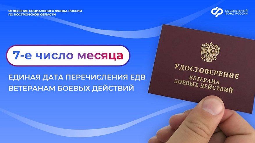 Главная картинка новости: СФР установил новую дату выплат для костромских ветеранов боевых действий