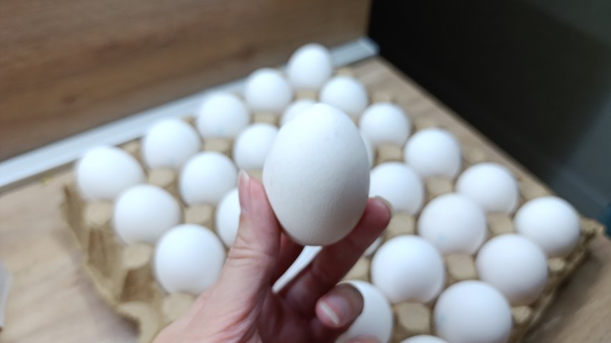 Главная картинка новости: Купил в "Чижике" яйца за 69 рублей — уже дома выяснил, что внутри — делюсь подробностями