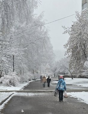 Стало известно, когда в Костроме температура опустится ниже нуля