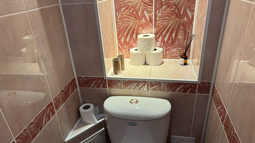 Главная картинка новости: Туалетная бумага больше не нужна: в Европе и Японии давным давно придумали новый способ, а мы только начинаем