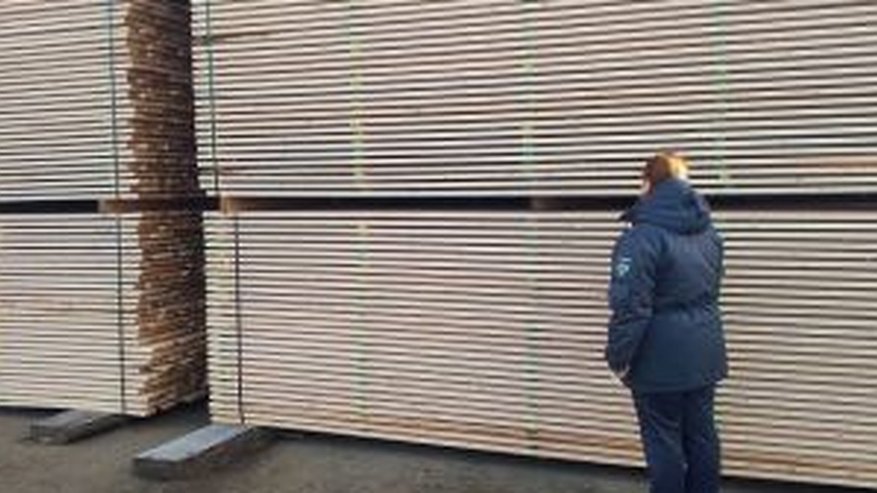 Главная картинка новости: Из Костромской области в Ирак отправили 1,4 тысячи кубических метров пиломатериалов