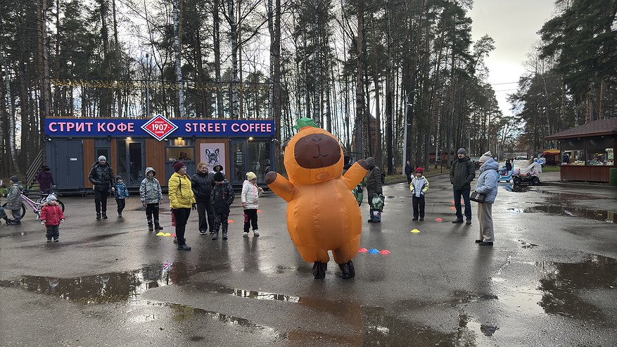 Главная картинка новости: Костромичей приглашают в парки  отметить День Матери (6+)