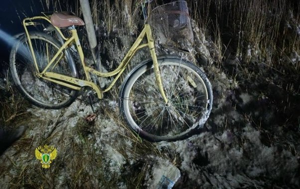 В Костромской области подросток на велосипеде оказался под колесами грузовика