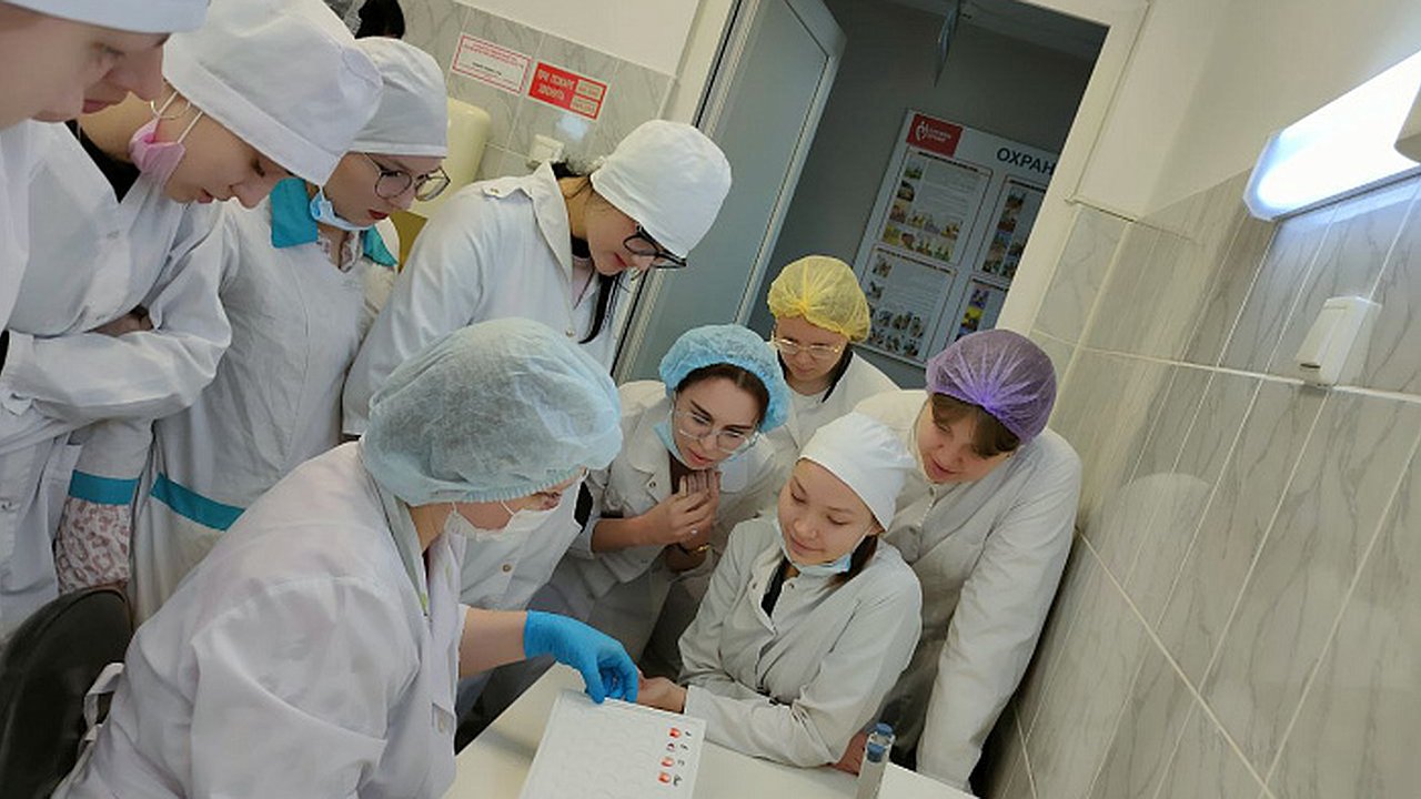 Главная картинка новости: В Костромской области проведут диспансеризацию для ветеранов СВО