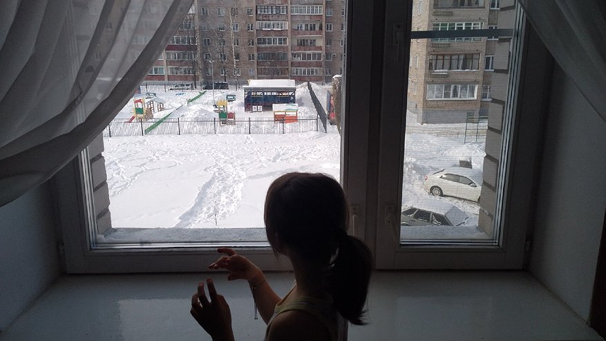 Главная картинка новости: Кладу на подоконник одну вещь и всю зиму живу спокойно: в доме тепло даже в -35°C и пахнет сибирским лесом