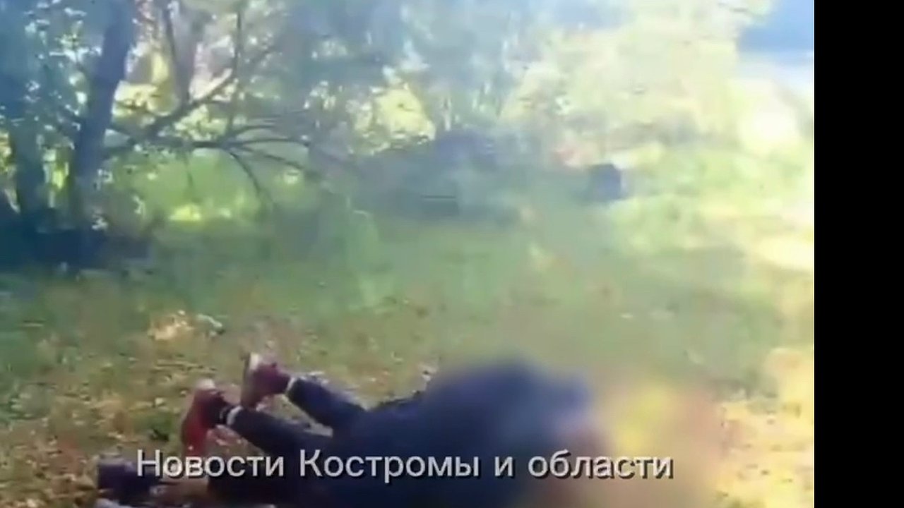 Главная картинка новости: В Костромской области подросток получил удар ногой в голову: следователи возбудили дело