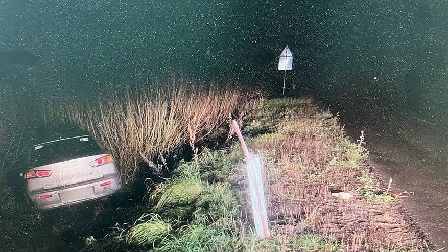 Главная картинка новости: Вечер в баре закончился в кювете: пьяная костромичка без прав разбилась на трассе