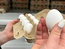 Работники птицефабрик никогда не берут яйца в магазинах категории СО: почему стоит обходить их стороной