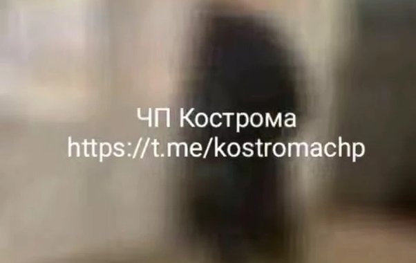 Прокуратура расследует драку школьников в Костромской гимназии №15: видео взорвало сеть