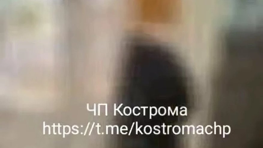 Главная картинка новости: Прокуратура расследует драку школьников в Костромской гимназии №15: видео взорвало сеть