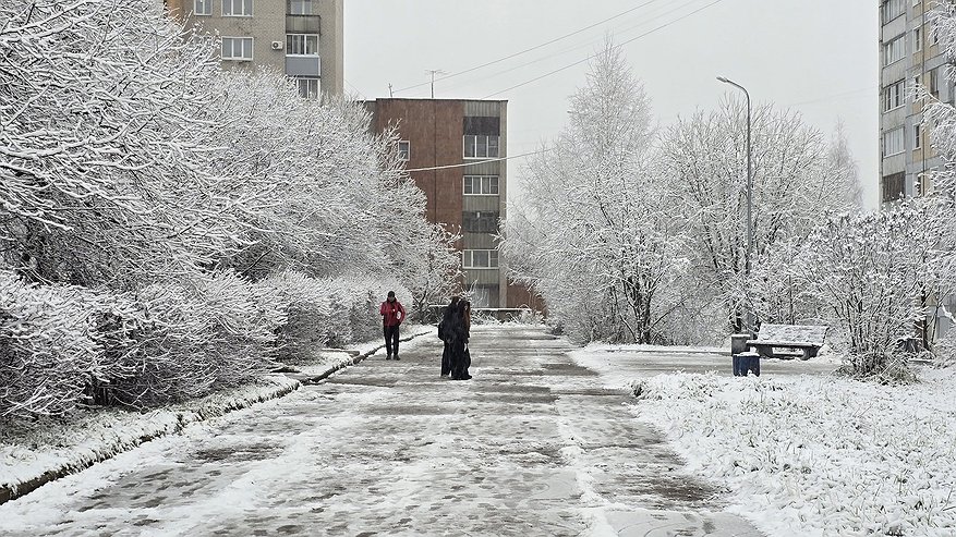 Главная картинка новости: Погодные качели и локальные рекорды: что ждёт Россию зимой 2026 года
