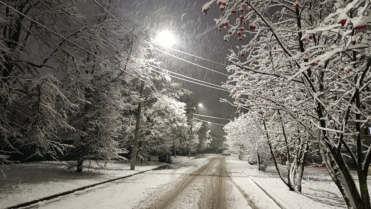 Главная картинка новости: Синоптики обновили прогноз: чего ждать от зимы 2025–2026 — будет ли снег, морозы и когда наступит настоящая зима