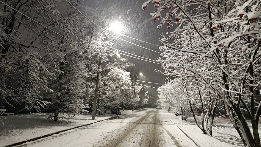 Главная картинка новости: Синоптики обновили прогноз: чего ждать от зимы 2025–2026 — будет ли снег, морозы и когда наступит настоящая зима