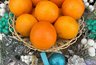 Миниатюра новости: Покупаю мандарины за месяц до Нового года по-дешевке - и свежие даже в январе: проверенный способ