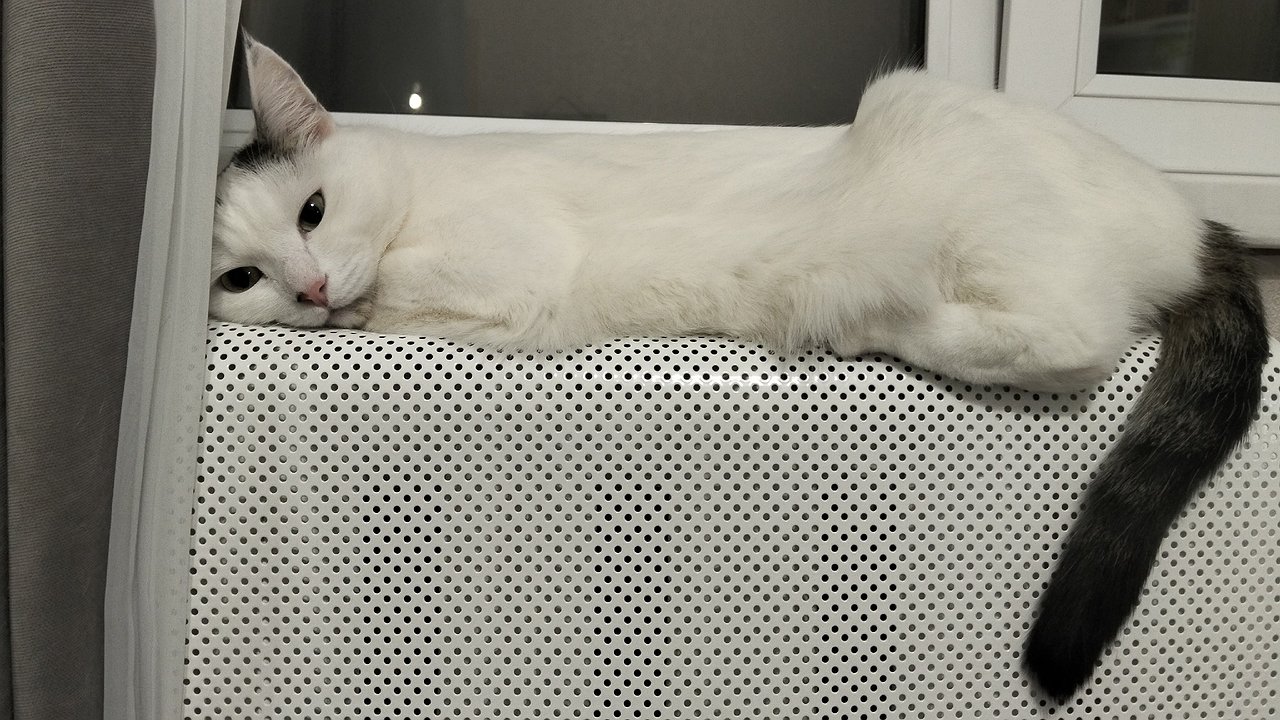 Главная картинка новости: Как сэкономить на отоплении и сделать дом теплее: простой финский способ