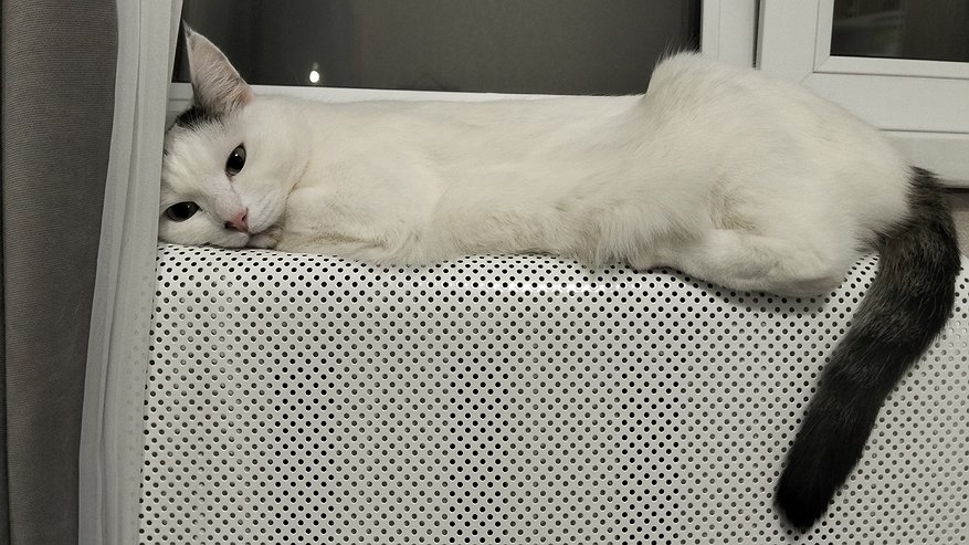 Главная картинка новости: Как сэкономить на отоплении и сделать дом теплее: простой финский способ