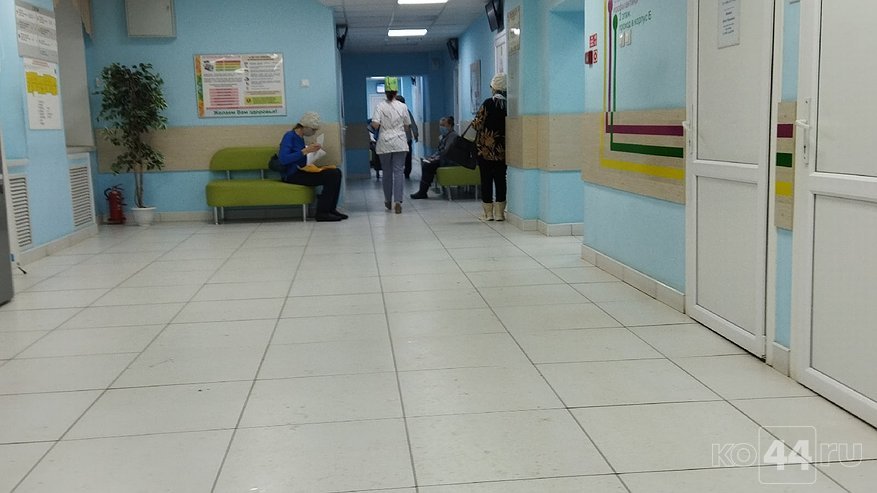 Главная картинка новости: Заболеваемость раком шейки матки в регионе растёт: ждать ли костромичам введения бесплатной вакцинации от ВПЧ?