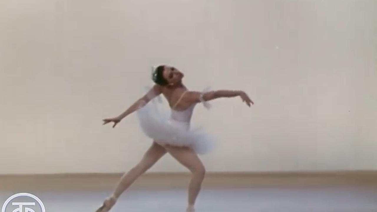 Главная картинка новости: Майя Плисецкая предупреждала, а мы пропустили мимо ушей: вот кого нельзя пускать в свой дом. Запомните раз и навсегда