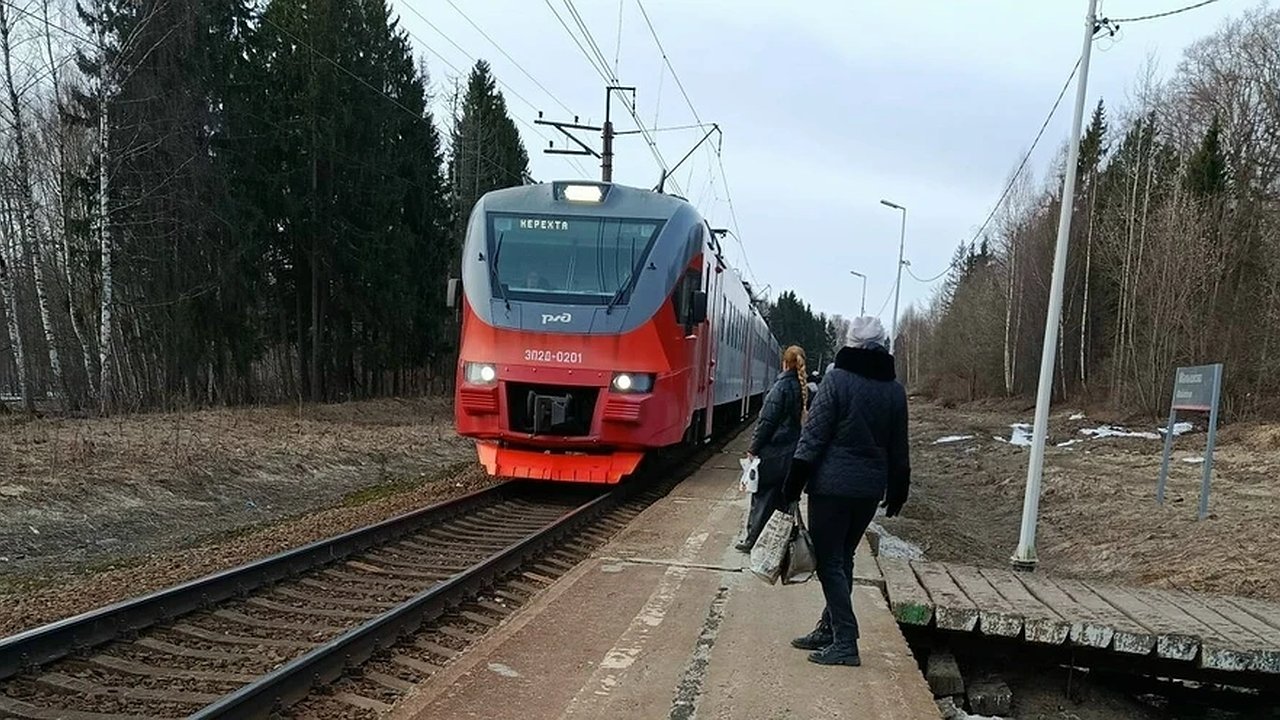 Главная картинка новости: В Костромской области на время визита поезда Деда Мороза отменили электрички