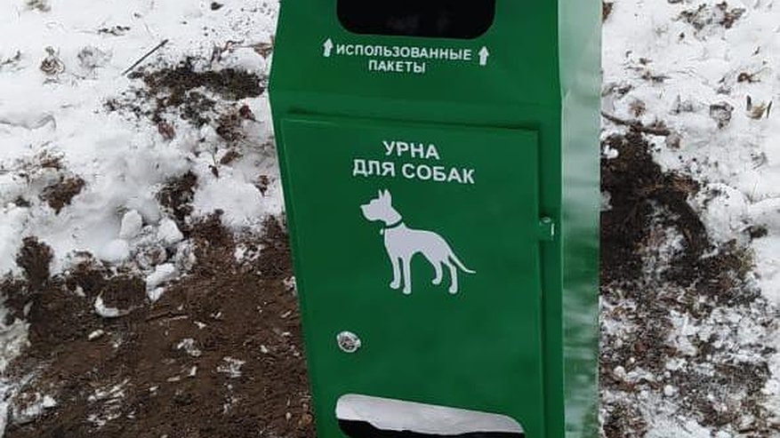 Главная картинка новости: В Костроме установили 12 дог-боксов