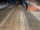 В Костромской области на трассе погибли два пони: пострадал водитель Renault