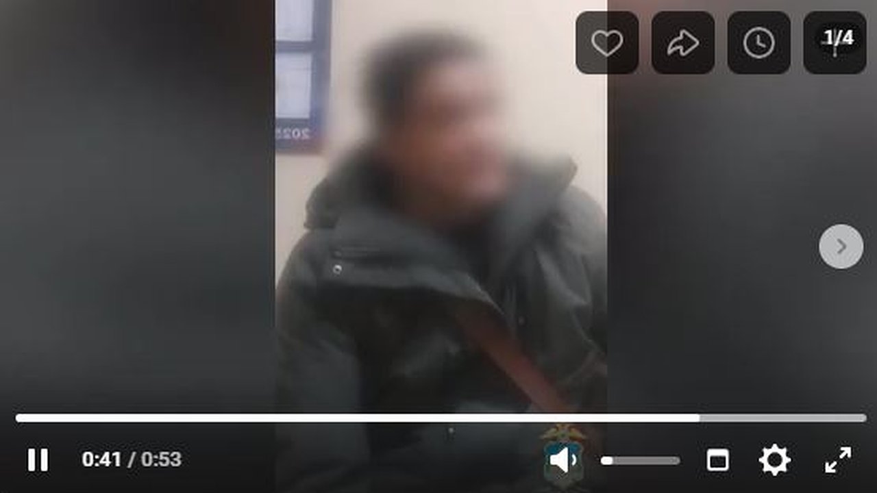 Главная картинка новости: В Костромской области браконьер заплатит почти полмиллиона рублей за убитого лося