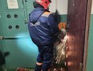 Спасатели Шарьи экстренно вскрыли дверь и спасли жизнь пожилой жительнице
