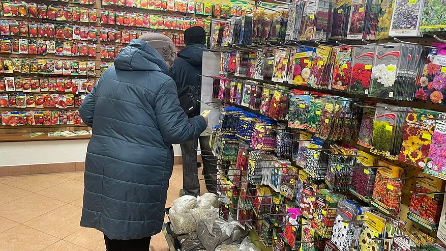 Главная картинка новости: Посадила и прыгала от счастья - 3 сорта томатов, которые порадуют каждого дачника. Они в "белом" списке