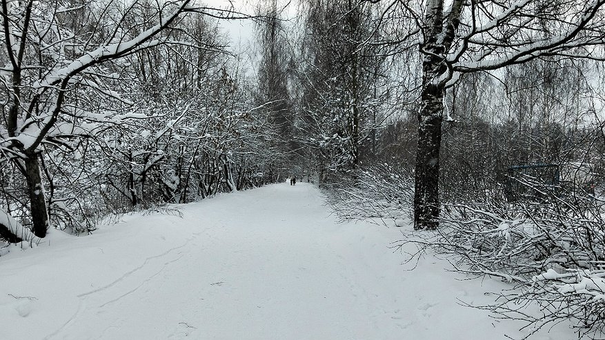 Главная картинка новости: В Костромской области появились три новых заповедника