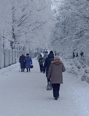 В понедельник в Костромской области может подморозить до минус 19 градусов