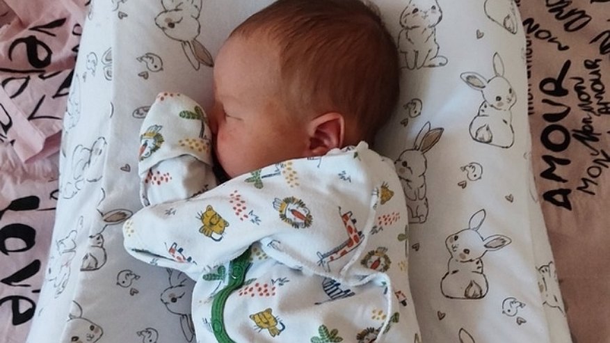 Главная картинка новости: Как финиковая пальма: в Костромской области самым редким стало древнееврейское имя, которое было очень популярным в XX веке