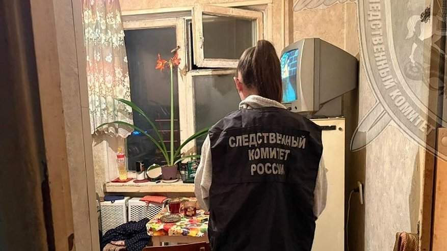 Главная картинка новости: Не смогла себя контролировать: 32-летняя костромичка ударила ножом сожителя