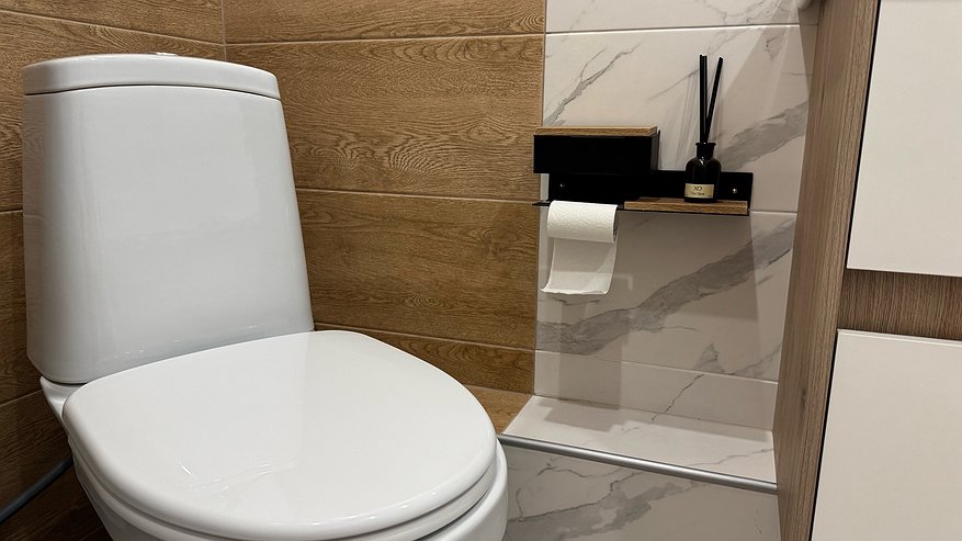 Главная картинка новости: Почему японцы садятся на унитаз лицом вперед: причина поражает — однако логика в этом есть