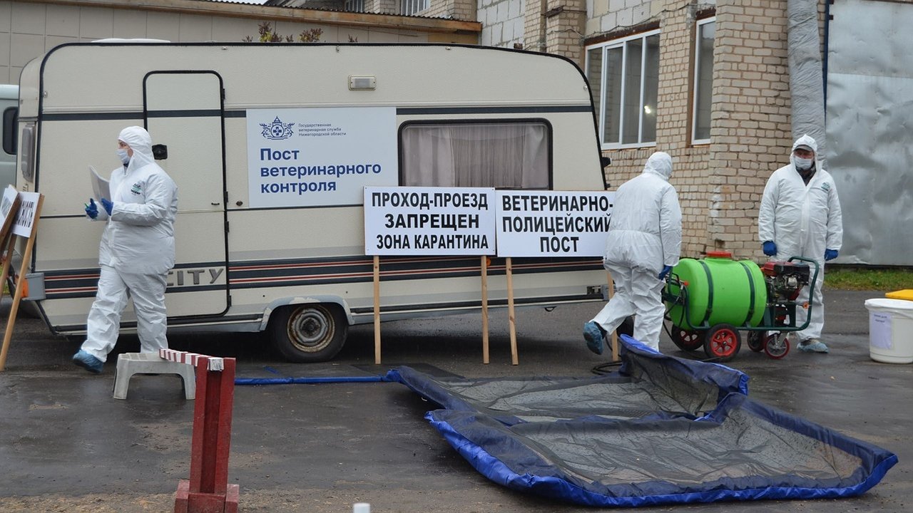 Главная картинка новости: ЧП с ботулизмом в Костроме: есть ли в регионе зараженное мясо