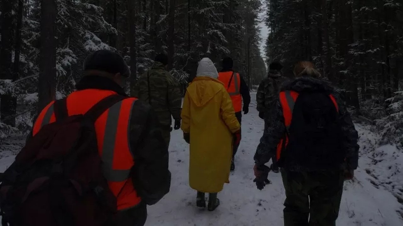 Главная картинка новости: В Костромской области в декабре 2025 года пропали 10 детей