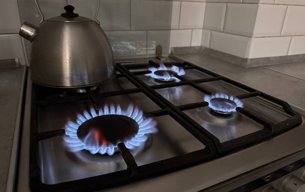 С января ввели новые требования к владельцам газовых плит: что нужно знать – запреты и обязанности