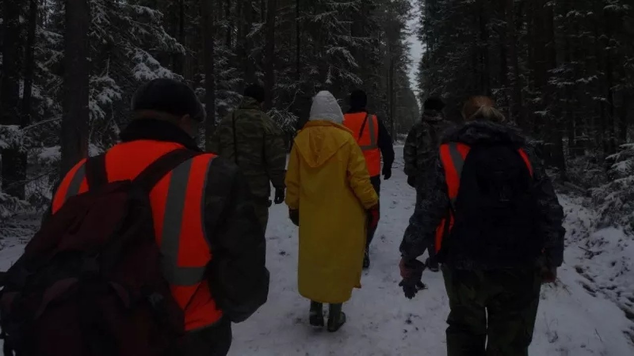 Главная картинка новости: Двое спасенных за три дня: в лесах под Костромой участились случаи пропажи людей