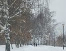 Кострома попала в топ-3 популярных новогодних городов