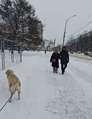 Галич, Нерехта и Сусанино официально станут частью Золотого кольца в 2027 году