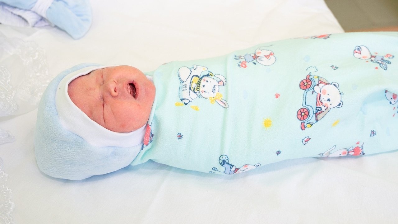 Главная картинка новости: В Костромской области родились еще одни двойняшки