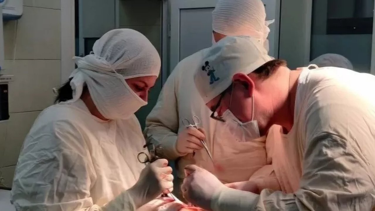 Главная картинка новости: Жителей Костромы теперь лечат лазером от варикоза в родном городе