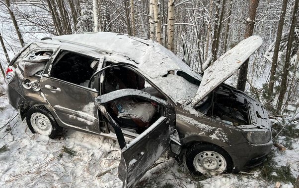 В страшном ДТП в Костромской области погибла 8-летняя девочка